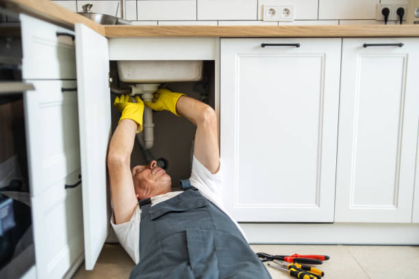  Hamshire, TX Plumbing Pros