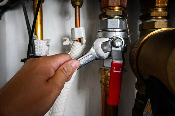 Best Faucet Repair  in Hamshire, TX